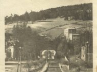 Krynica